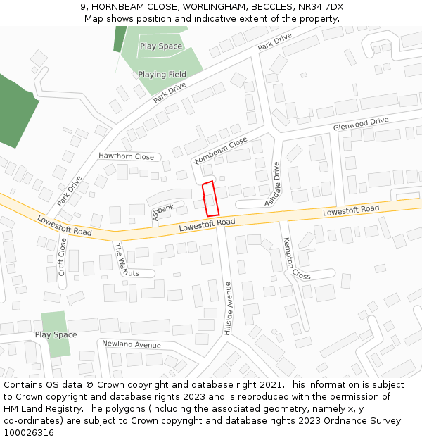 9, HORNBEAM CLOSE, WORLINGHAM, BECCLES, NR34 7DX: Location map and indicative extent of plot