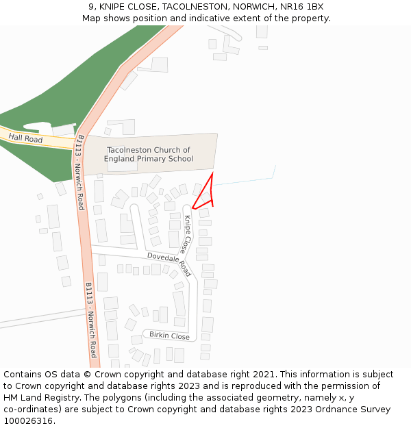 9, KNIPE CLOSE, TACOLNESTON, NORWICH, NR16 1BX: Location map and indicative extent of plot