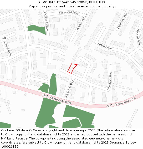 9, MONTACUTE WAY, WIMBORNE, BH21 1UB: Location map and indicative extent of plot