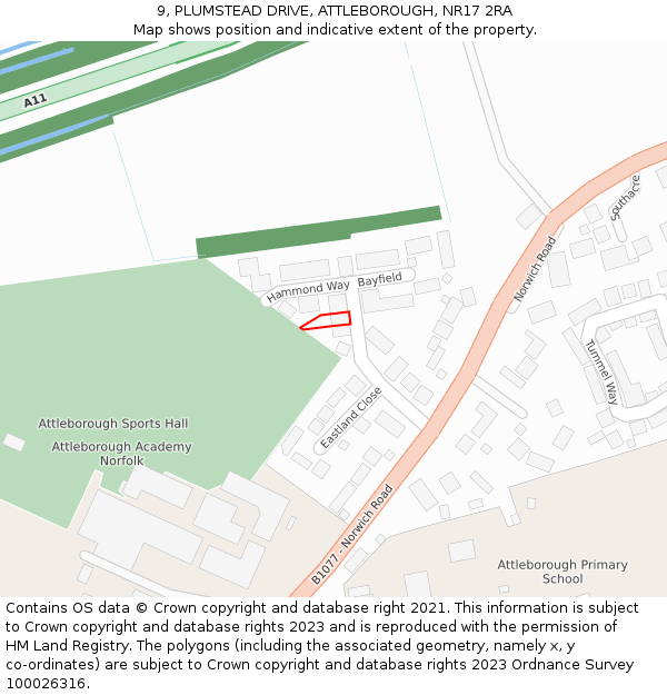 9, PLUMSTEAD DRIVE, ATTLEBOROUGH, NR17 2RA: Location map and indicative extent of plot