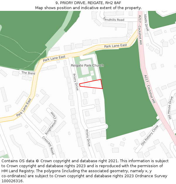 9, PRIORY DRIVE, REIGATE, RH2 8AF: Location map and indicative extent of plot