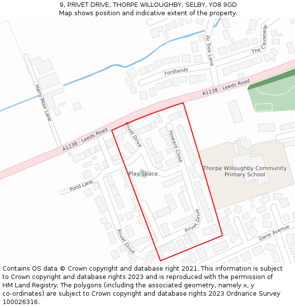 9, PRIVET DRIVE, THORPE WILLOUGHBY, SELBY, YO8 9GD: Location map and indicative extent of plot