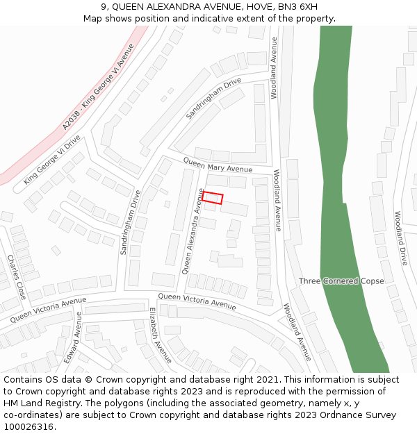 9, QUEEN ALEXANDRA AVENUE, HOVE, BN3 6XH: Location map and indicative extent of plot