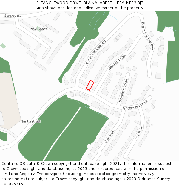 9, TANGLEWOOD DRIVE, BLAINA, ABERTILLERY, NP13 3JB: Location map and indicative extent of plot