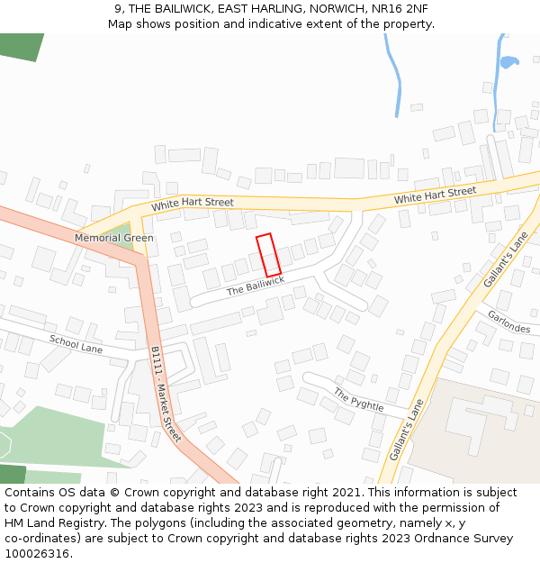 9, THE BAILIWICK, EAST HARLING, NORWICH, NR16 2NF: Location map and indicative extent of plot