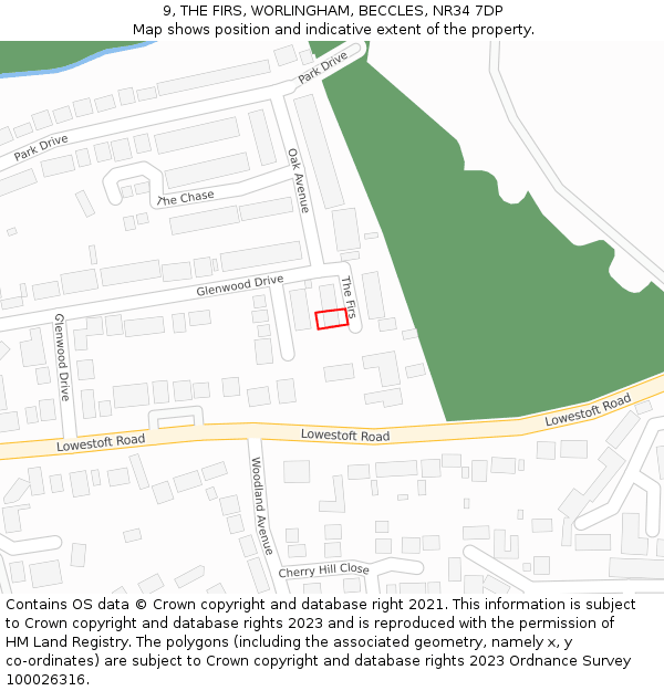 9, THE FIRS, WORLINGHAM, BECCLES, NR34 7DP: Location map and indicative extent of plot