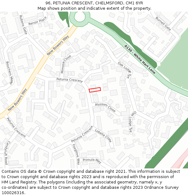 96, PETUNIA CRESCENT, CHELMSFORD, CM1 6YR: Location map and indicative extent of plot