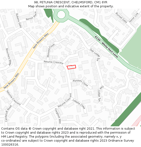 98, PETUNIA CRESCENT, CHELMSFORD, CM1 6YR: Location map and indicative extent of plot