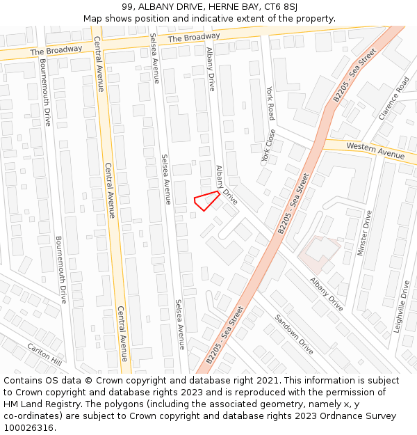 99, ALBANY DRIVE, HERNE BAY, CT6 8SJ: Location map and indicative extent of plot