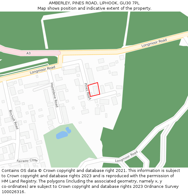 AMBERLEY, PINES ROAD, LIPHOOK, GU30 7PL: Location map and indicative extent of plot