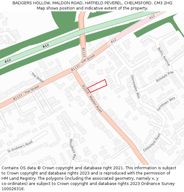 BADGERS HOLLOW, MALDON ROAD, HATFIELD PEVEREL, CHELMSFORD, CM3 2HG: Location map and indicative extent of plot