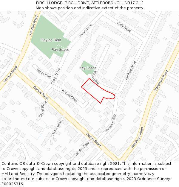 BIRCH LODGE, BIRCH DRIVE, ATTLEBOROUGH, NR17 2HF: Location map and indicative extent of plot