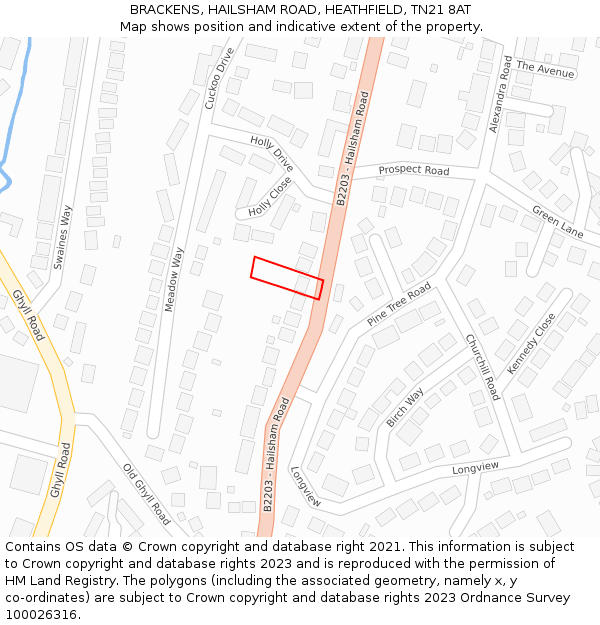 BRACKENS, HAILSHAM ROAD, HEATHFIELD, TN21 8AT: Location map and indicative extent of plot