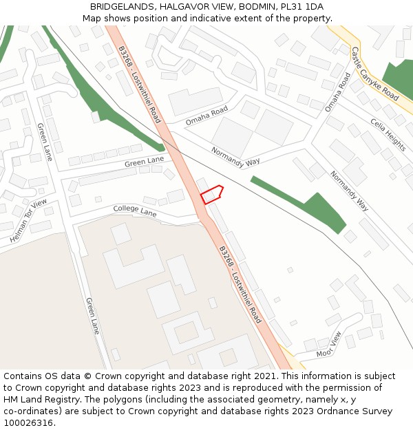 BRIDGELANDS, HALGAVOR VIEW, BODMIN, PL31 1DA: Location map and indicative extent of plot