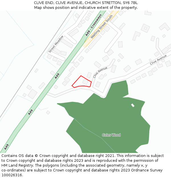 CLIVE END, CLIVE AVENUE, CHURCH STRETTON, SY6 7BL: Location map and indicative extent of plot