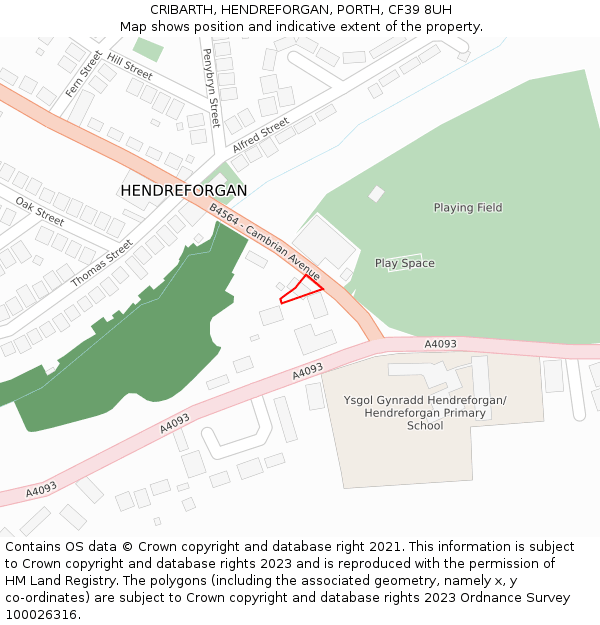 CRIBARTH, HENDREFORGAN, PORTH, CF39 8UH: Location map and indicative extent of plot