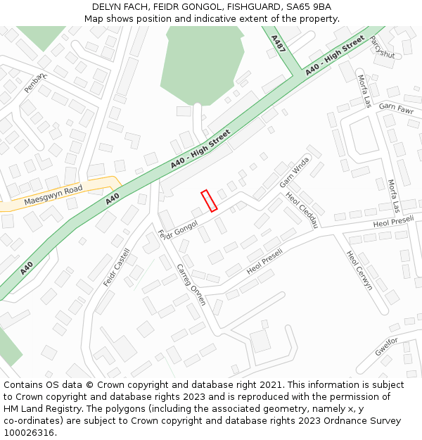 DELYN FACH, FEIDR GONGOL, FISHGUARD, SA65 9BA: Location map and indicative extent of plot
