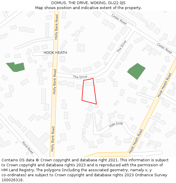 DOMUS, THE DRIVE, WOKING, GU22 0JS: Location map and indicative extent of plot