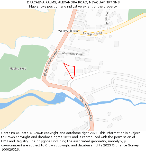 DRACAENA PALMS, ALEXANDRA ROAD, NEWQUAY, TR7 3NB: Location map and indicative extent of plot
