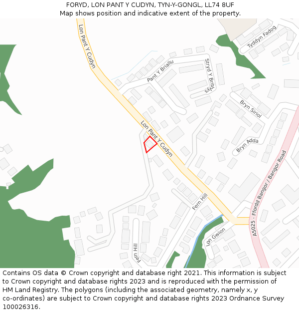 FORYD, LON PANT Y CUDYN, TYN-Y-GONGL, LL74 8UF: Location map and indicative extent of plot