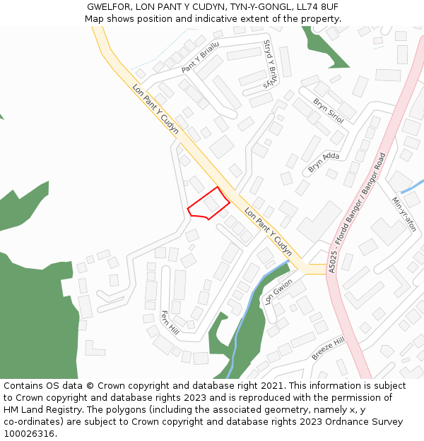 GWELFOR, LON PANT Y CUDYN, TYN-Y-GONGL, LL74 8UF: Location map and indicative extent of plot