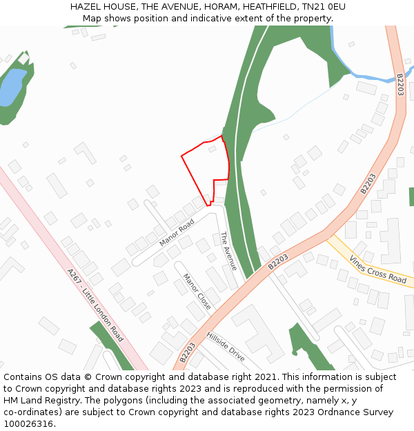 HAZEL HOUSE, THE AVENUE, HORAM, HEATHFIELD, TN21 0EU: Location map and indicative extent of plot