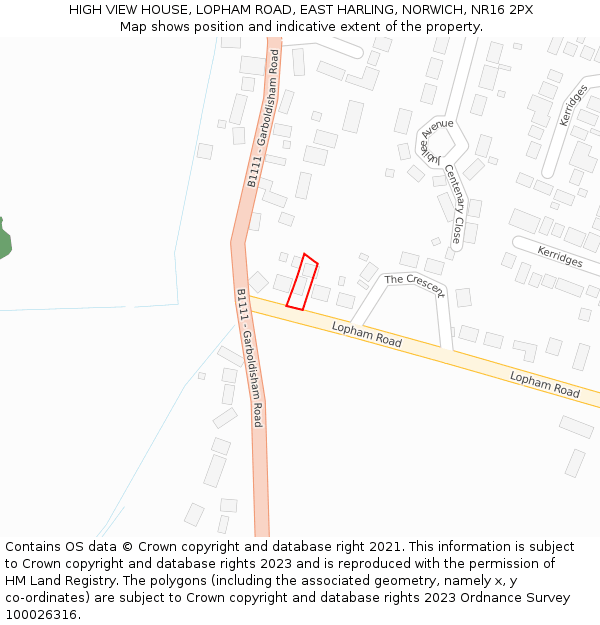 HIGH VIEW HOUSE, LOPHAM ROAD, EAST HARLING, NORWICH, NR16 2PX: Location map and indicative extent of plot