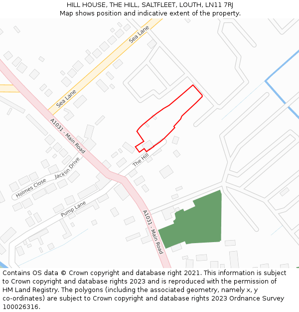 HILL HOUSE, THE HILL, SALTFLEET, LOUTH, LN11 7RJ: Location map and indicative extent of plot