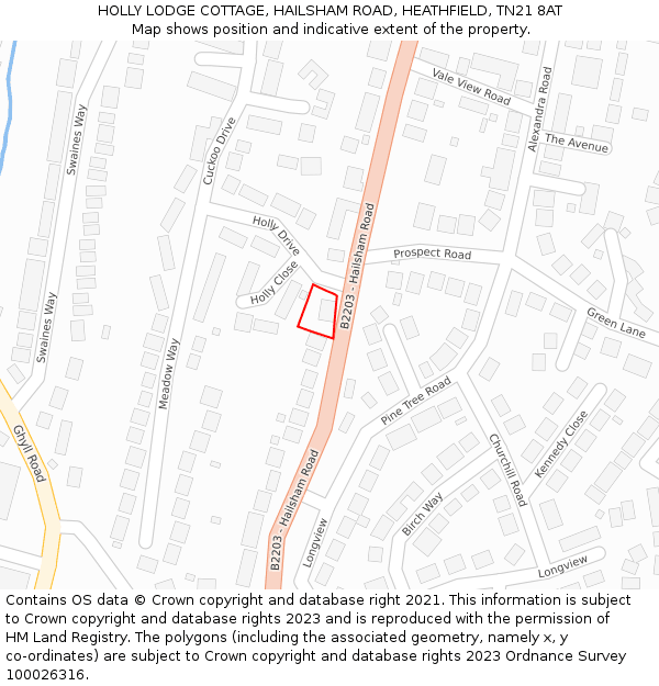 HOLLY LODGE COTTAGE, HAILSHAM ROAD, HEATHFIELD, TN21 8AT: Location map and indicative extent of plot