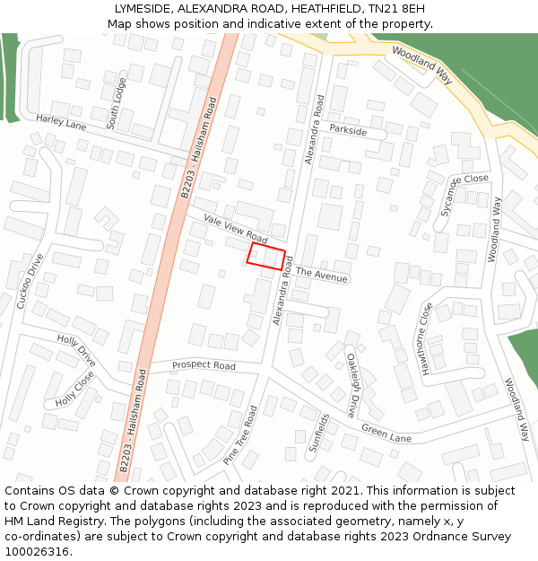 LYMESIDE, ALEXANDRA ROAD, HEATHFIELD, TN21 8EH: Location map and indicative extent of plot