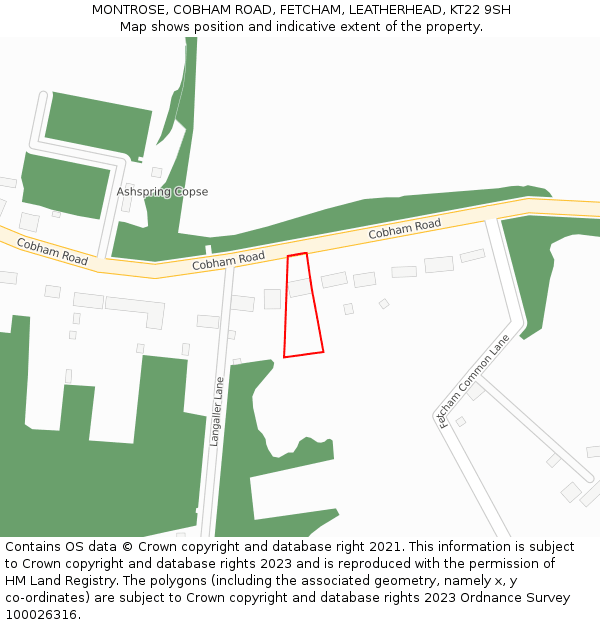 MONTROSE, COBHAM ROAD, FETCHAM, LEATHERHEAD, KT22 9SH: Location map and indicative extent of plot