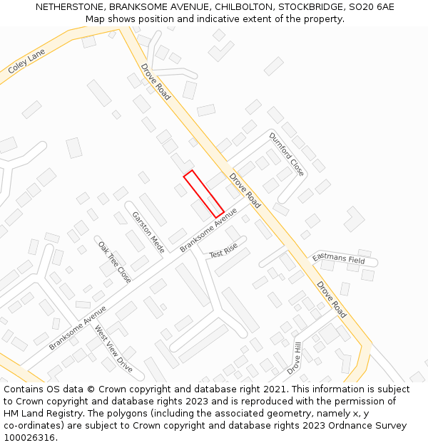 NETHERSTONE, BRANKSOME AVENUE, CHILBOLTON, STOCKBRIDGE, SO20 6AE: Location map and indicative extent of plot