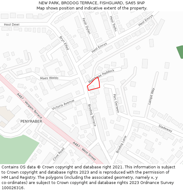 NEW PARK, BRODOG TERRACE, FISHGUARD, SA65 9NP: Location map and indicative extent of plot