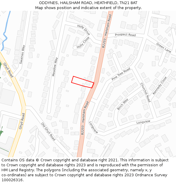 ODDYNES, HAILSHAM ROAD, HEATHFIELD, TN21 8AT: Location map and indicative extent of plot