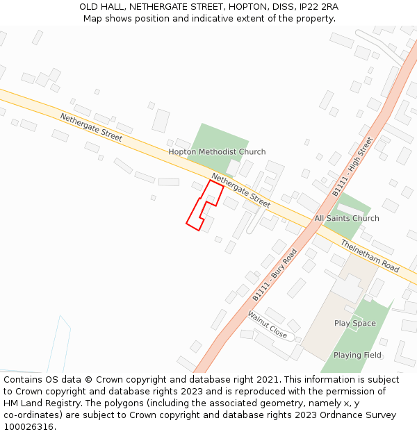 OLD HALL, NETHERGATE STREET, HOPTON, DISS, IP22 2RA: Location map and indicative extent of plot