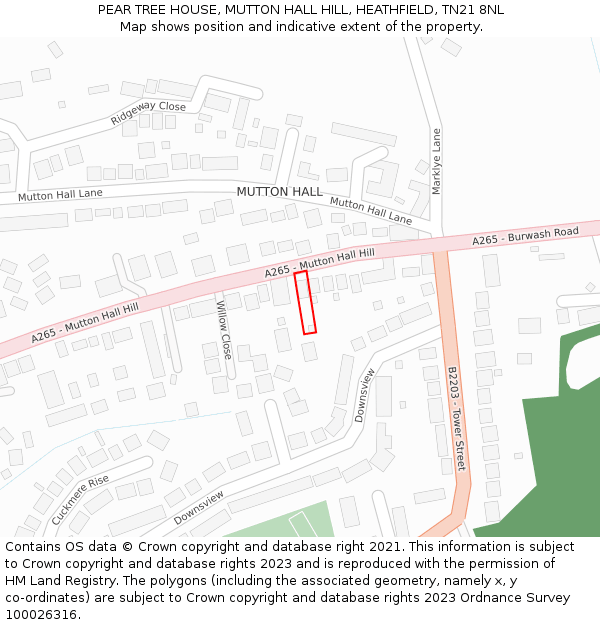 PEAR TREE HOUSE, MUTTON HALL HILL, HEATHFIELD, TN21 8NL: Location map and indicative extent of plot