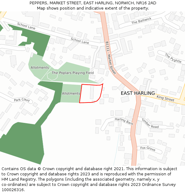 PEPPERS, MARKET STREET, EAST HARLING, NORWICH, NR16 2AD: Location map and indicative extent of plot