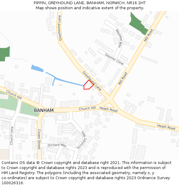 PIPPIN, GREYHOUND LANE, BANHAM, NORWICH, NR16 2HT: Location map and indicative extent of plot