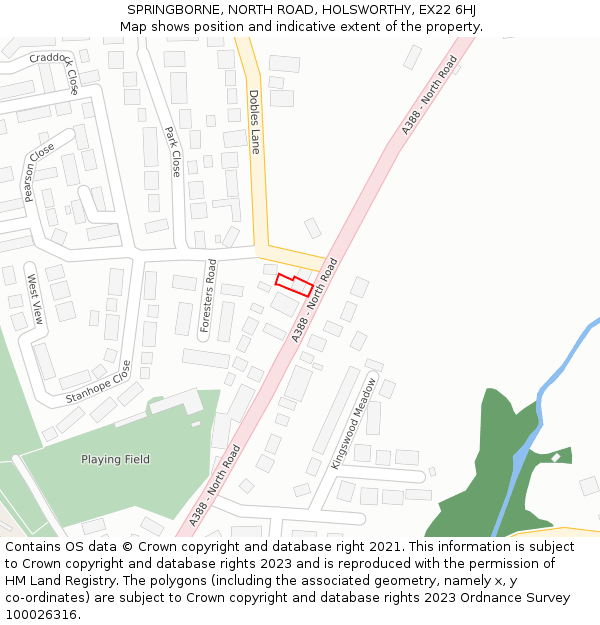 SPRINGBORNE, NORTH ROAD, HOLSWORTHY, EX22 6HJ: Location map and indicative extent of plot