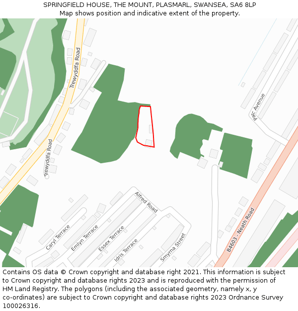 SPRINGFIELD HOUSE, THE MOUNT, PLASMARL, SWANSEA, SA6 8LP: Location map and indicative extent of plot