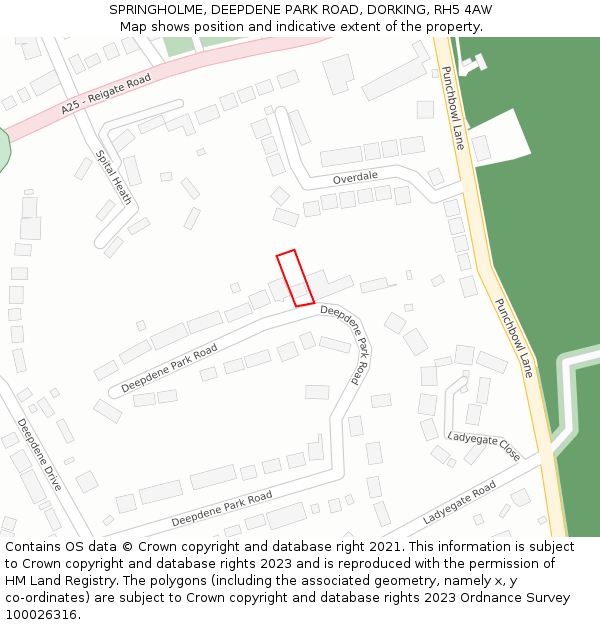 SPRINGHOLME, DEEPDENE PARK ROAD, DORKING, RH5 4AW: Location map and indicative extent of plot