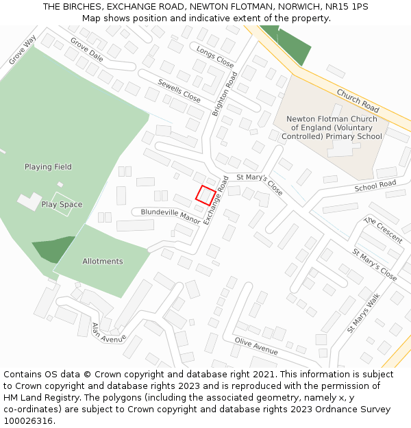 THE BIRCHES, EXCHANGE ROAD, NEWTON FLOTMAN, NORWICH, NR15 1PS: Location map and indicative extent of plot