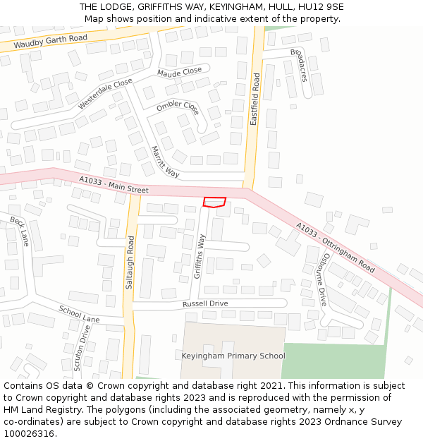 THE LODGE, GRIFFITHS WAY, KEYINGHAM, HULL, HU12 9SE: Location map and indicative extent of plot