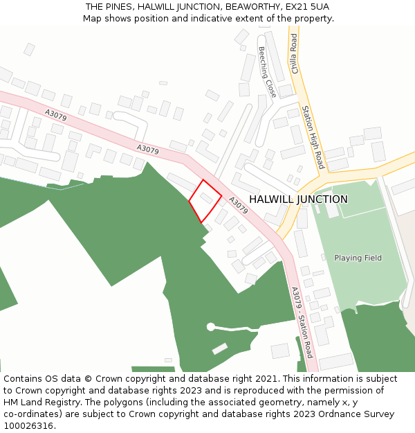 THE PINES, HALWILL JUNCTION, BEAWORTHY, EX21 5UA: Location map and indicative extent of plot