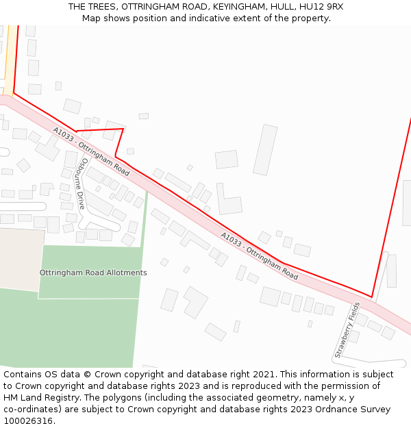 THE TREES, OTTRINGHAM ROAD, KEYINGHAM, HULL, HU12 9RX: Location map and indicative extent of plot