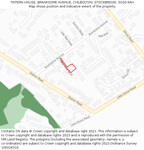 TINTERN HOUSE, BRANKSOME AVENUE, CHILBOLTON, STOCKBRIDGE, SO20 6AH: Location map and indicative extent of plot