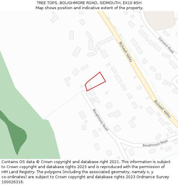 TREE TOPS, BOUGHMORE ROAD, SIDMOUTH, EX10 8SH: Location map and indicative extent of plot