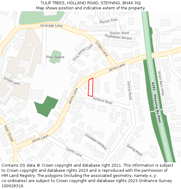 TULIP TREES, HOLLAND ROAD, STEYNING, BN44 3GJ: Location map and indicative extent of plot