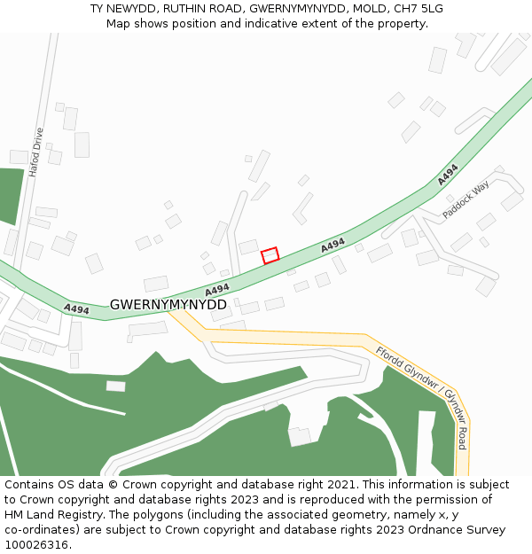 TY NEWYDD, RUTHIN ROAD, GWERNYMYNYDD, MOLD, CH7 5LG: Location map and indicative extent of plot