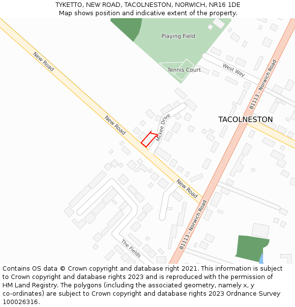 TYKETTO, NEW ROAD, TACOLNESTON, NORWICH, NR16 1DE: Location map and indicative extent of plot